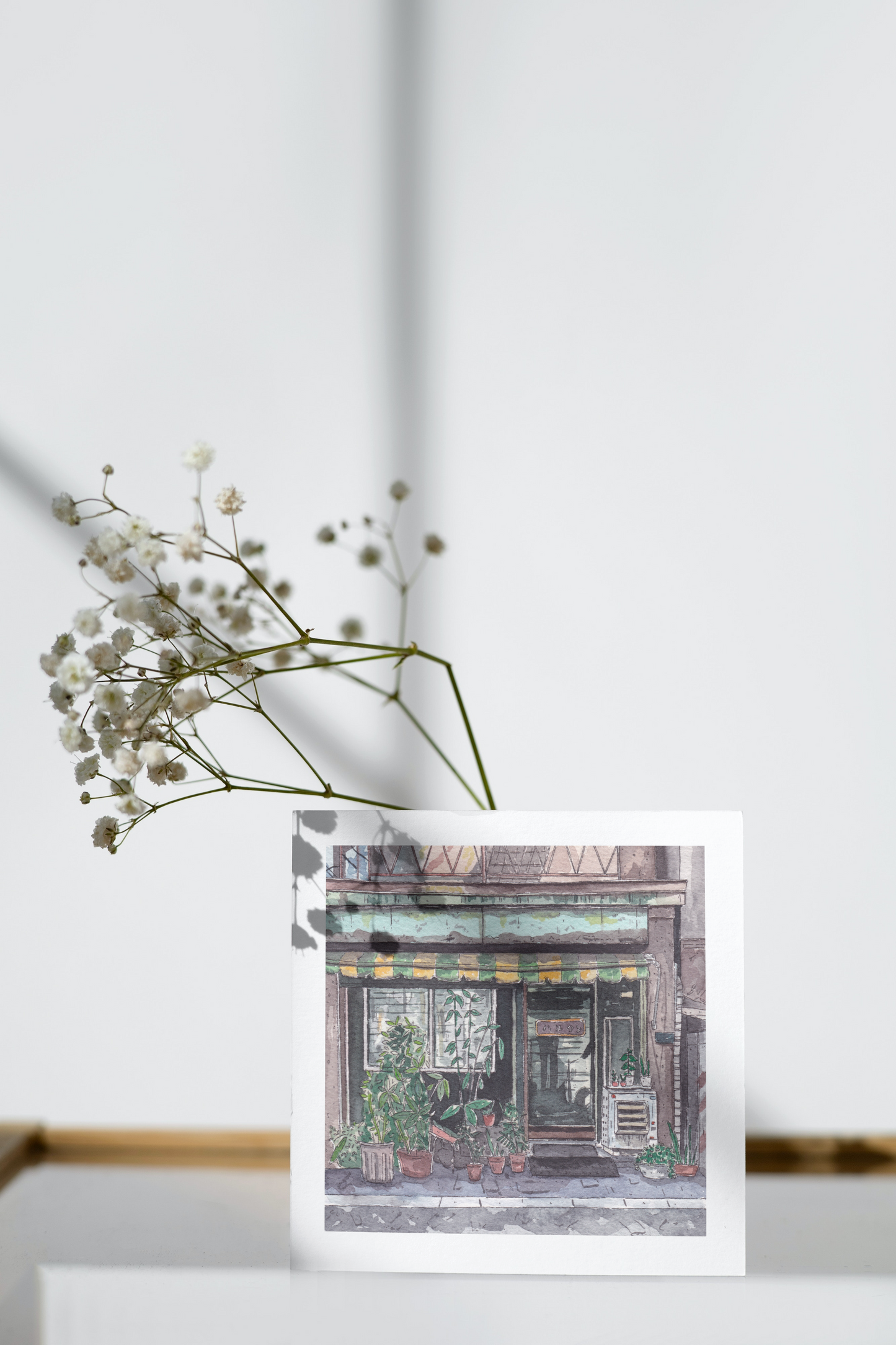 Square Illustration Art Print 'Potted Plants' *Previous Stock