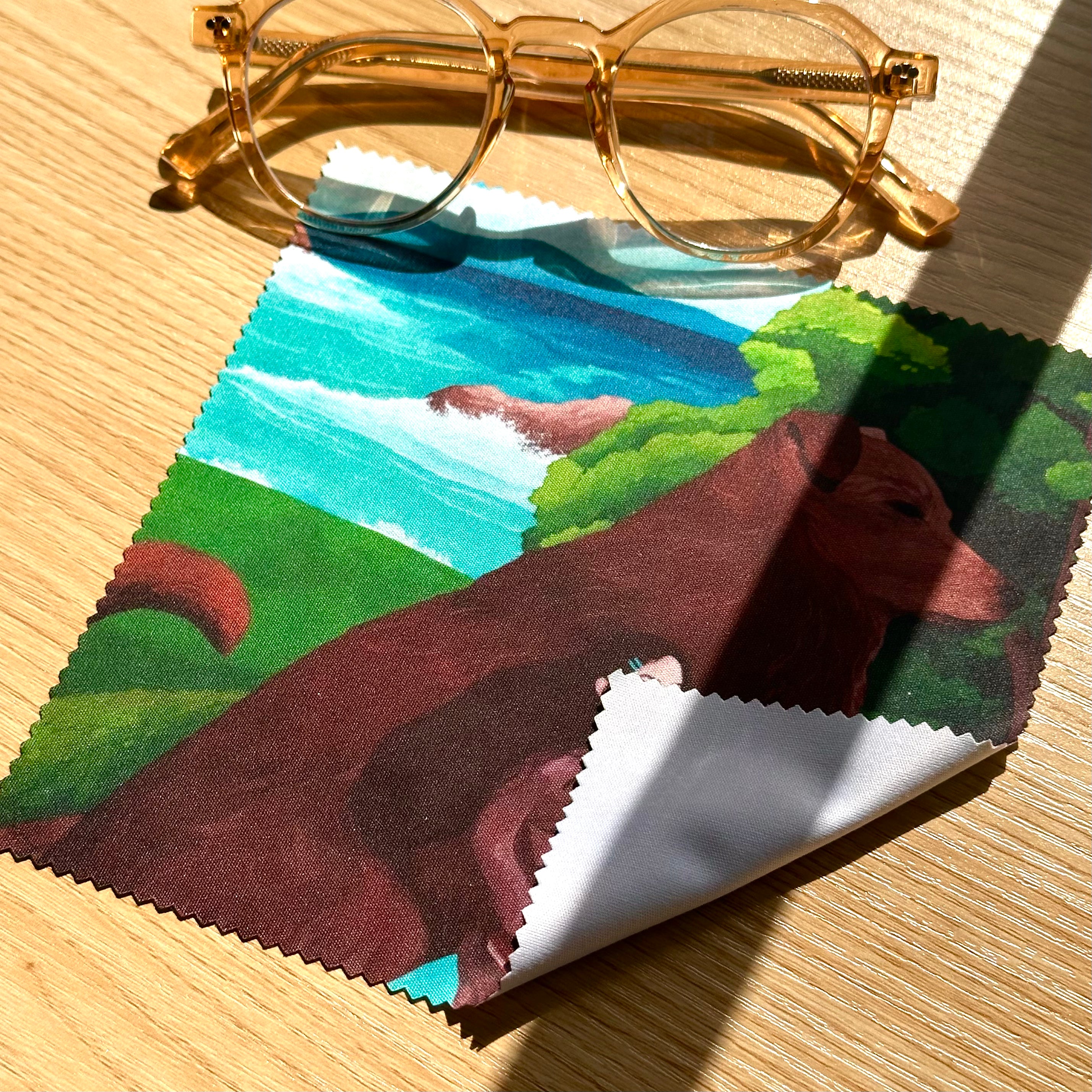 'Playground Protectors' Glasses (Lens) Cleaning Cloth